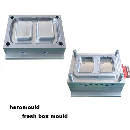 Plastic fresh box mould