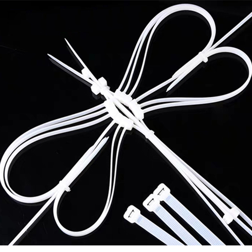 Plastic Nylon Cable Tie Mould